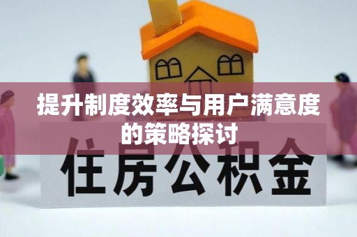 洪湖提升制度效率与用户满意度的策略探讨